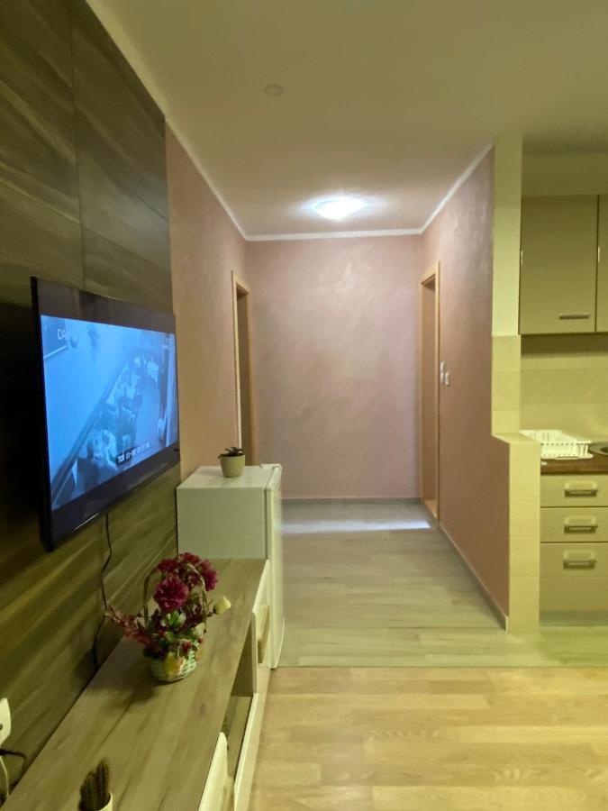 Zecevic Apartment